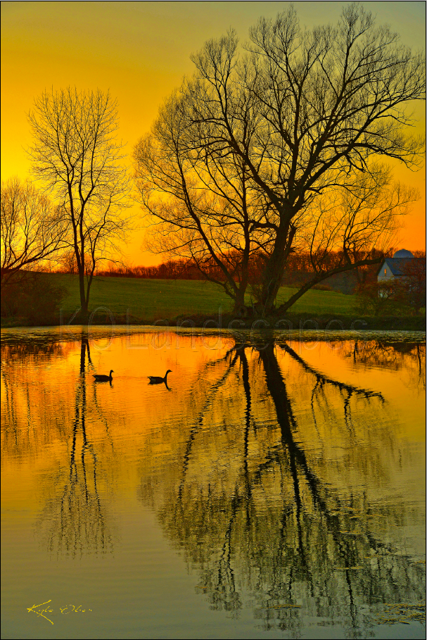 Nature / Duck Pond Sunset