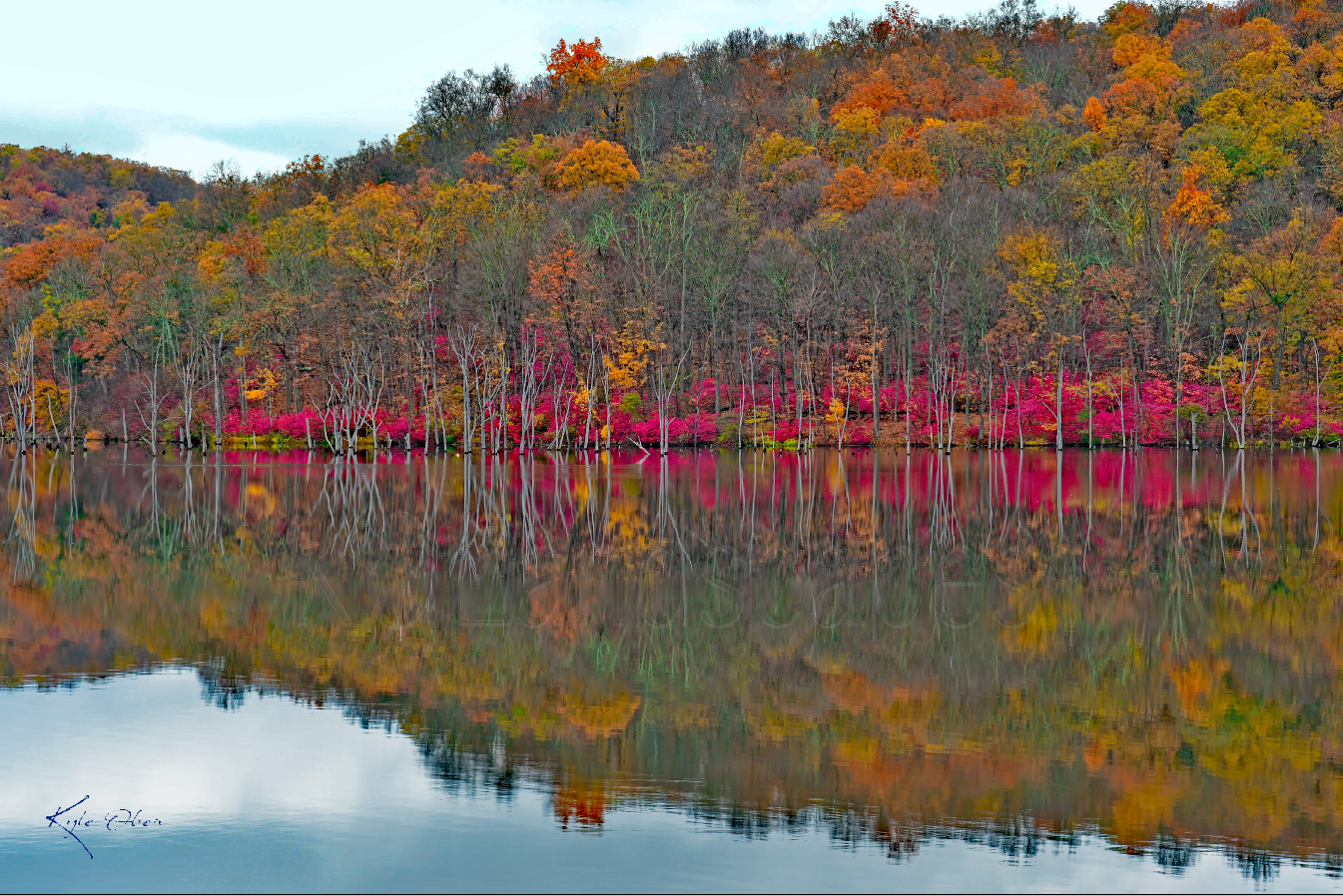 Nature / Fall Reflection