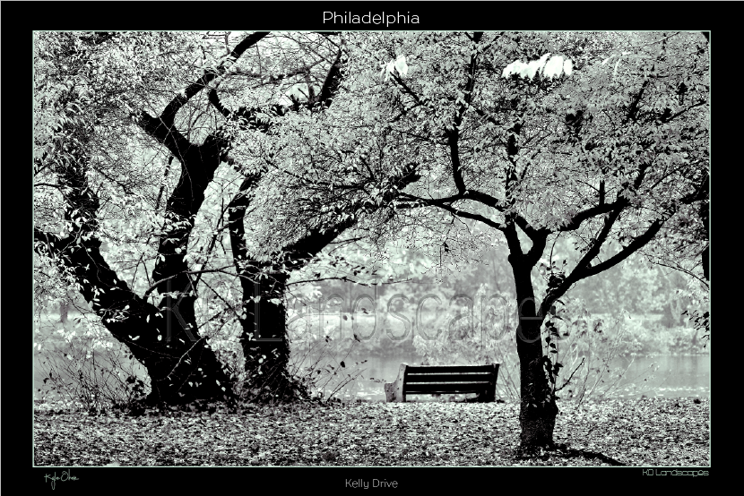 Philadelphia Pa, Fairmount Park, Evening Walk, Kelley Drive, Fall, Autumn, B&W, Trees, Branches, Bench, Fairmount Park, River, Schuylkill River