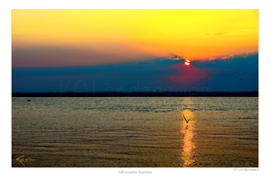 Shoreline / Silhouette Sunrise