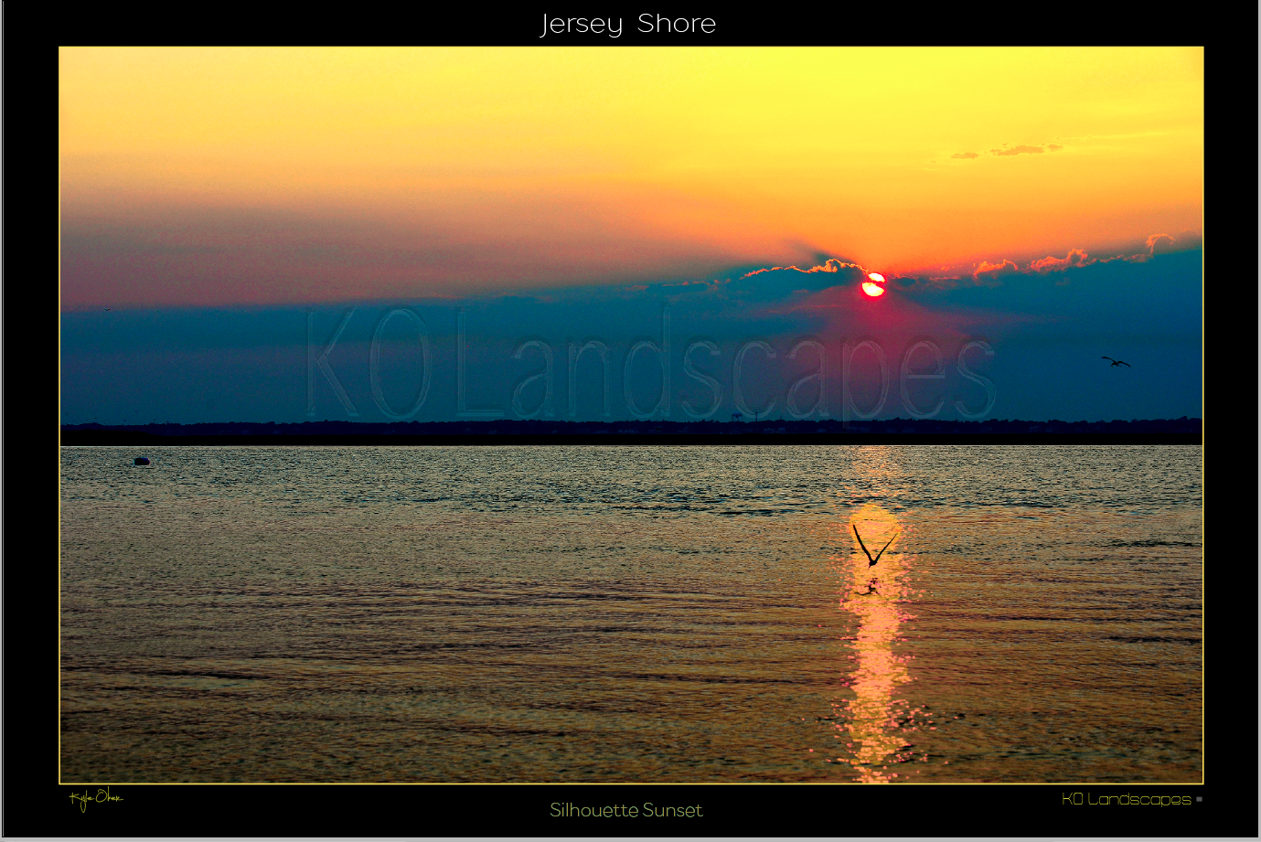 Jersey Shore, Sunrise, Sunset, Redf, Orange, yellow, Blue, Ocean, Water, Beach, Rocks, Seashells, Bird, Silhouette, Seagull, Island, Sanctuary