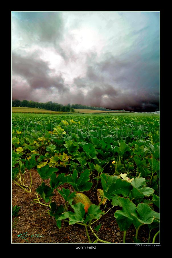 Nature / Storm Field