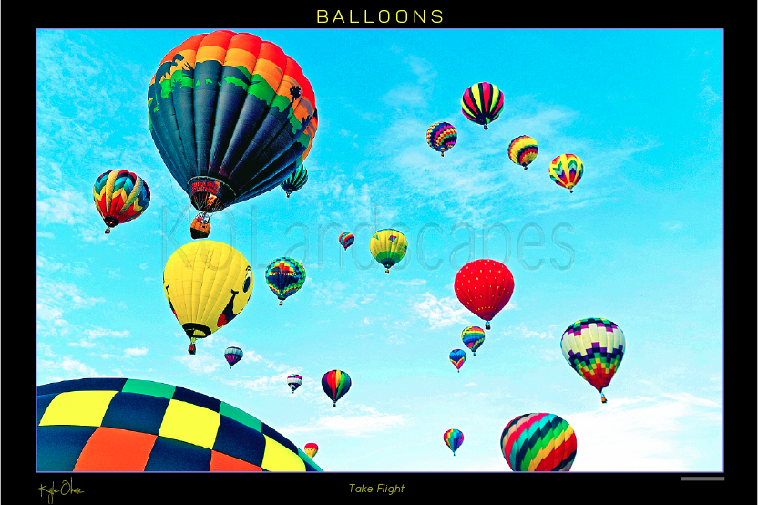 Hot air balloons take flight!
