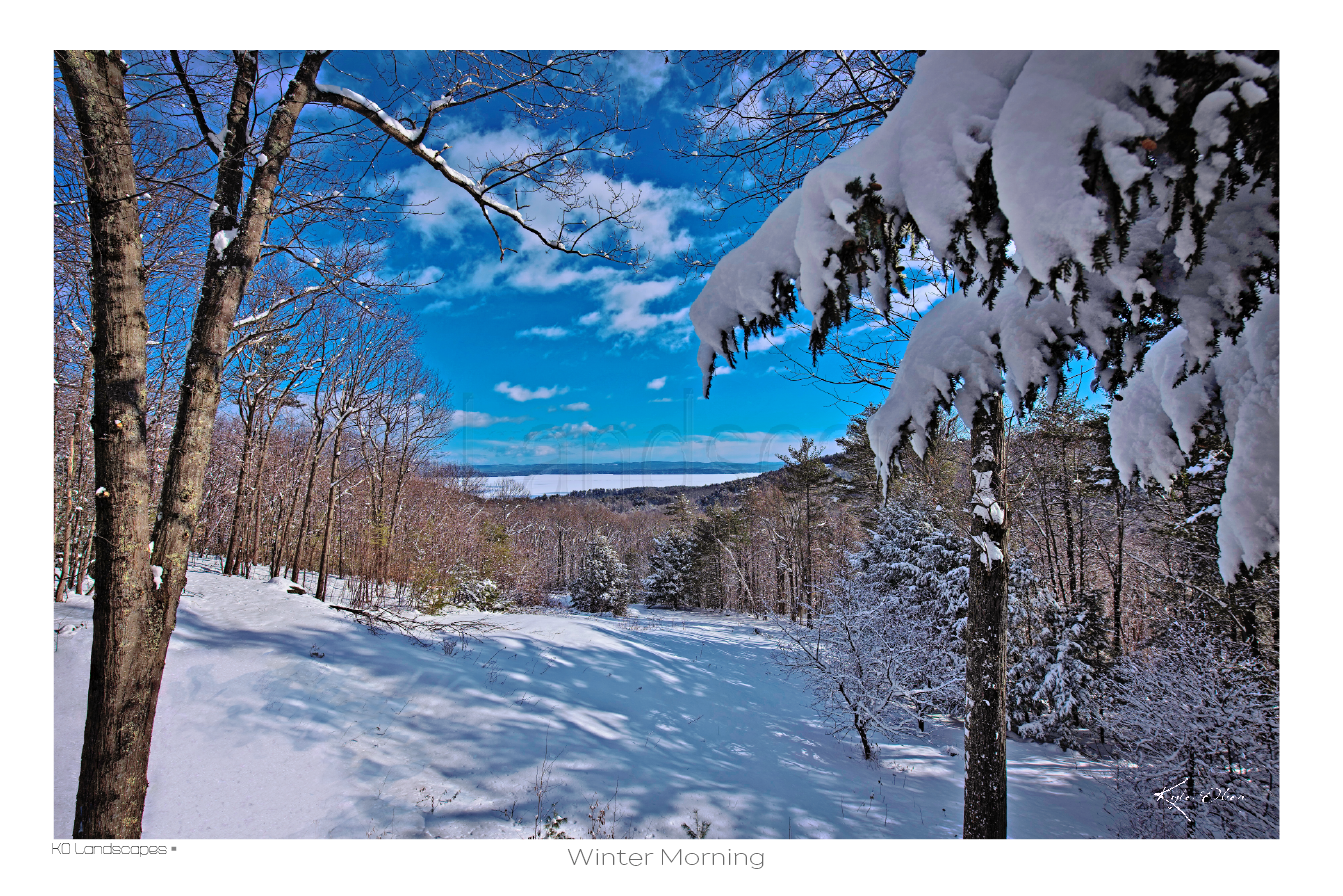 Nature / Winter Morning