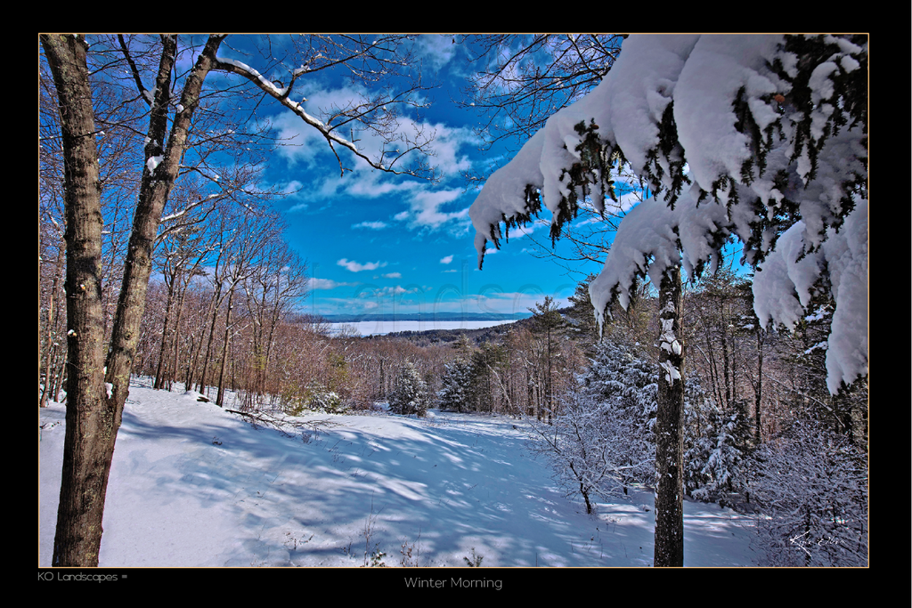 New England / Winter Morning