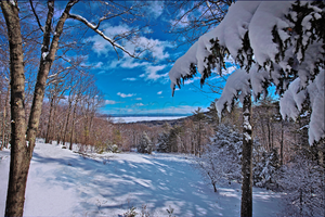New England / Winter Morning